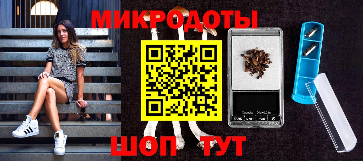 Псилоцибиновые грибы ЛСД Сунжа