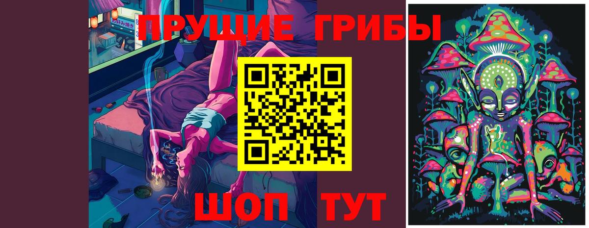 Галлюциногенные грибы Psilocybine cubensis  Псилоцибиновые грибы мицелий  Вход с VPN  Сунжа 