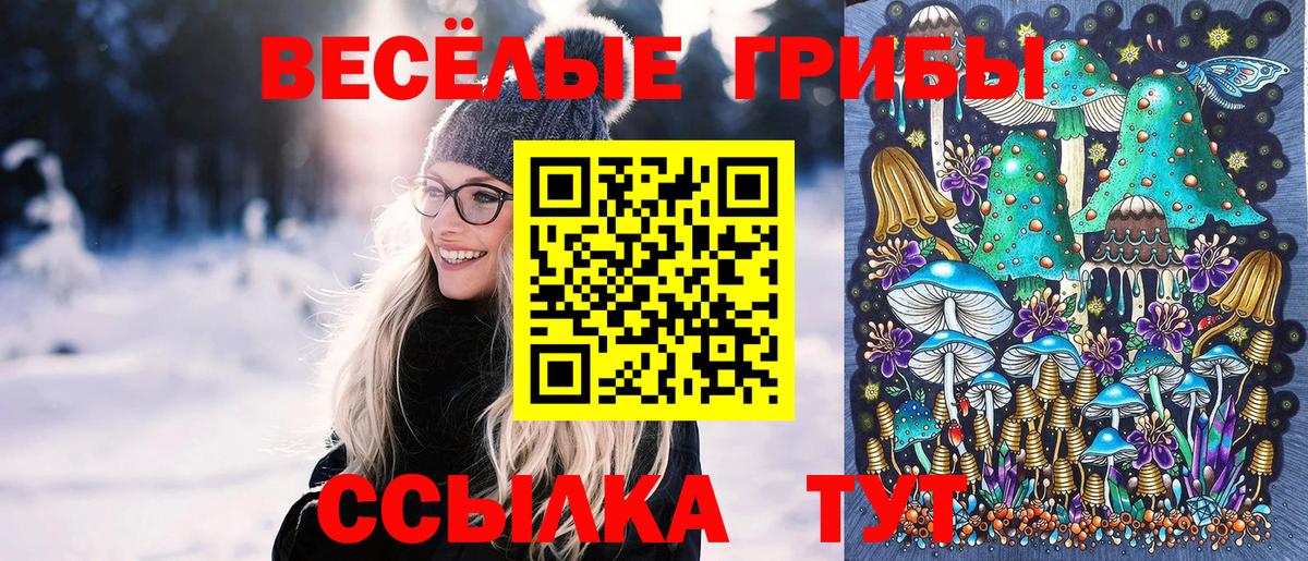 Альфа ПВП СК кристаллы  Вход с VPN  Сунжа  Бошки Шишки  COCAIN  Цена  Метамфетамин  Меф   Кокаин  ГАШИШ  МДМА 